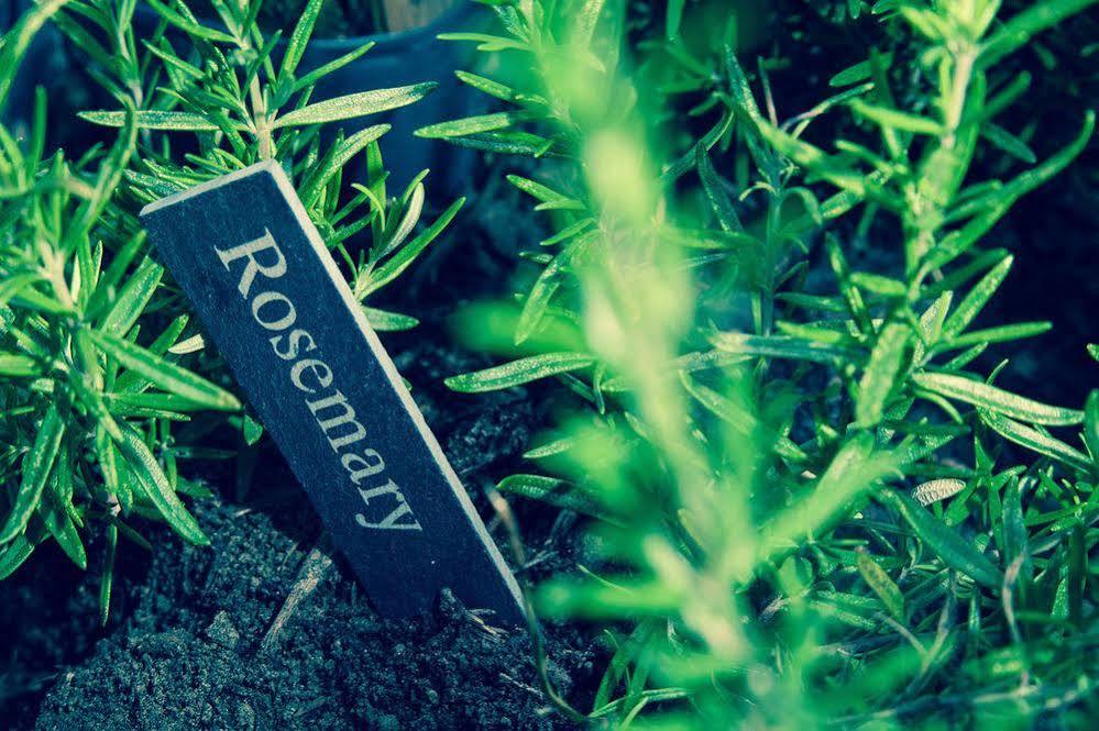 Room2 London Hammersmith Townhouse Ngoại thất bức ảnh